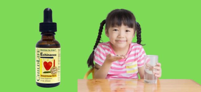 image Childlife Echinacea: Suplemen untuk Tingkatkan Imun Anak!